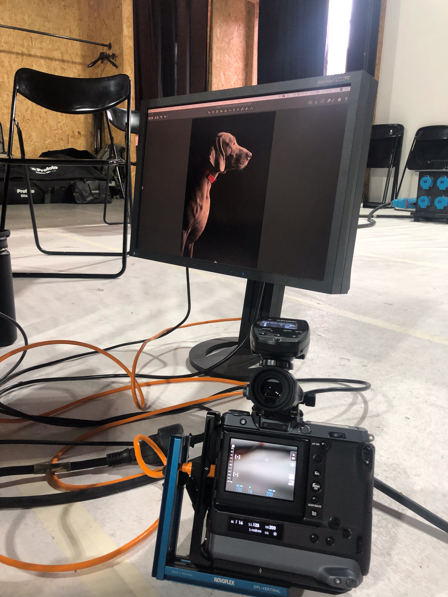 Behind the scenes of pet photography shoot - Studio setup