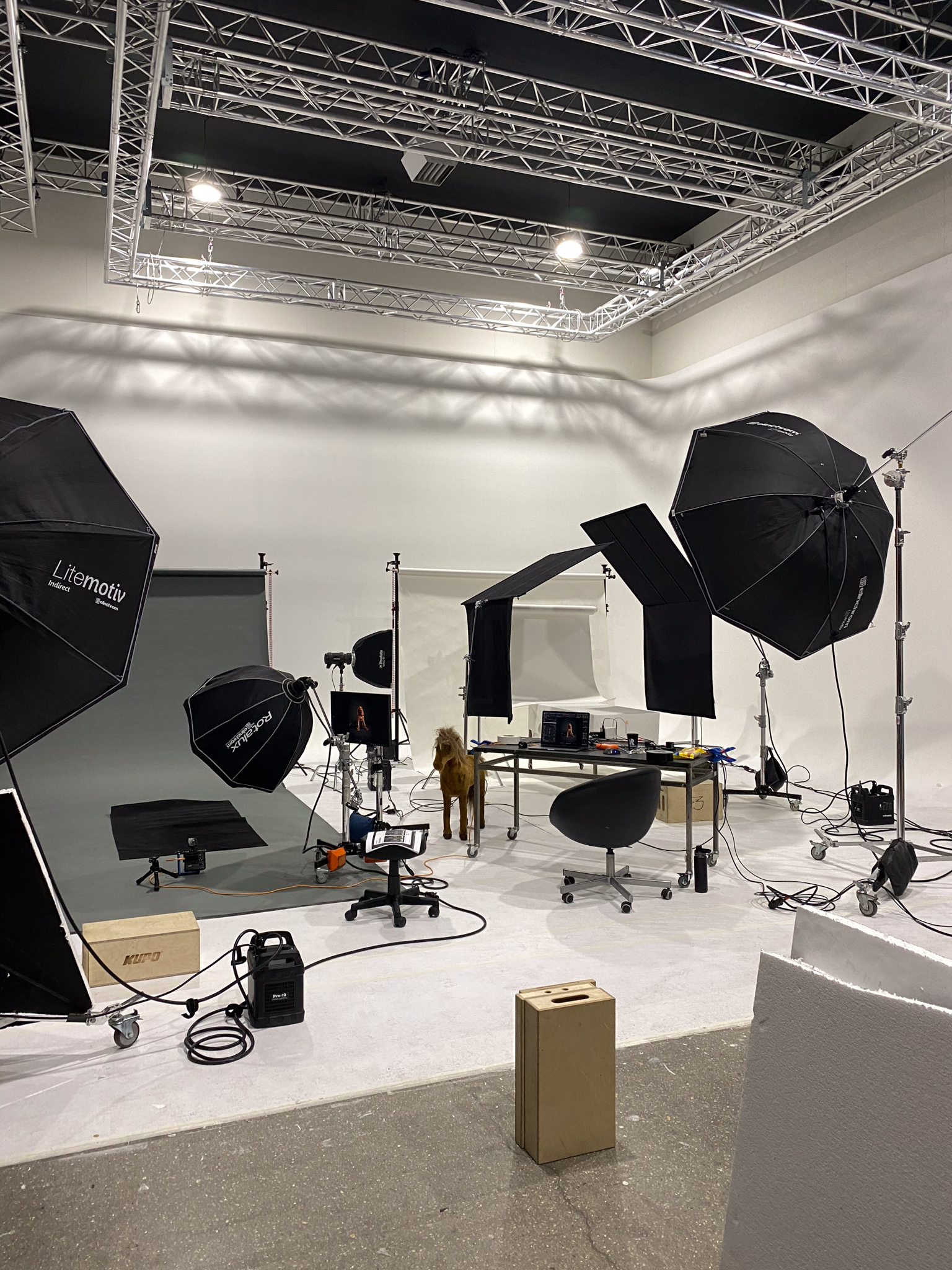 Behind the scenes of pet photography shoot - Lighting and equipment