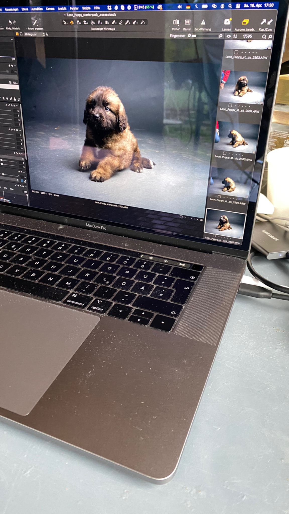 Behind the scenes of pet photography shoot - Retouching station