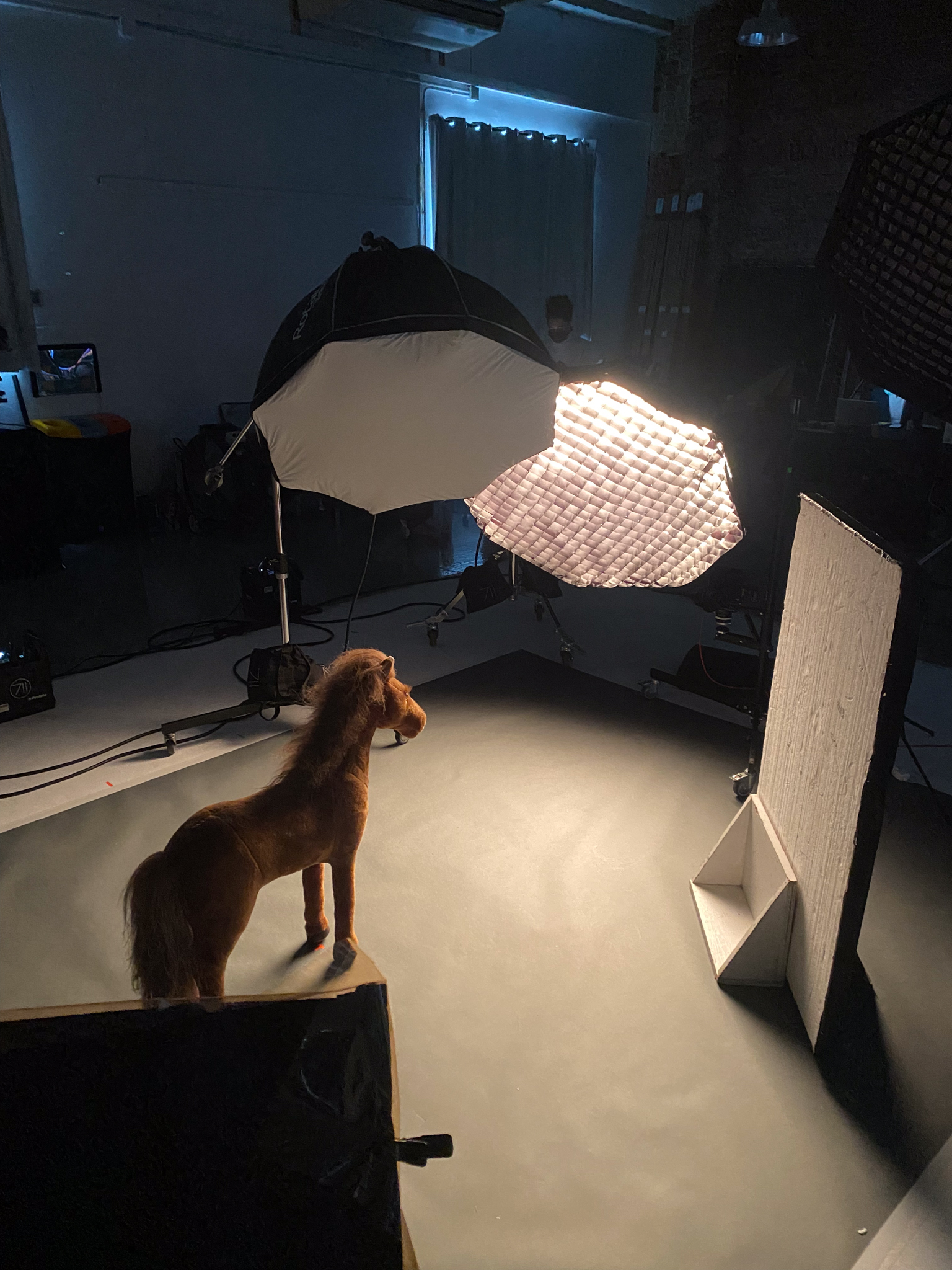 Behind the scenes of pet photography shoot - Creative process